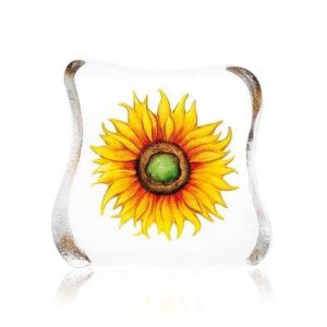 Målerås Floral Fantasy – Solros konstglas – design Mats Jonasson