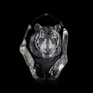 Målerås Wildlife – tiger konstglas 12,5 x 17 cm – design Mats Jonasson