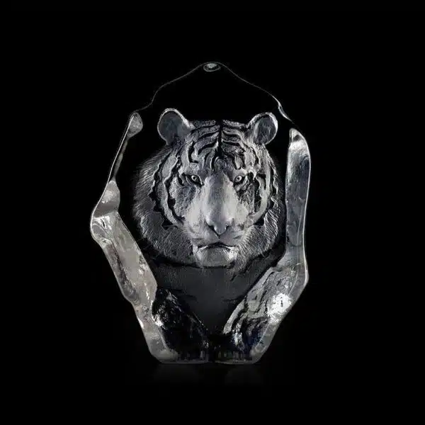 Målerås - Wildlife - Tiger Konstglas 12,5 x 17 cm Designer Mats Jonasson