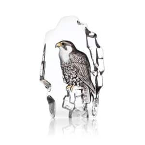 Målerås Wildlife målad – Falk konstglas – design Mats Jonasson