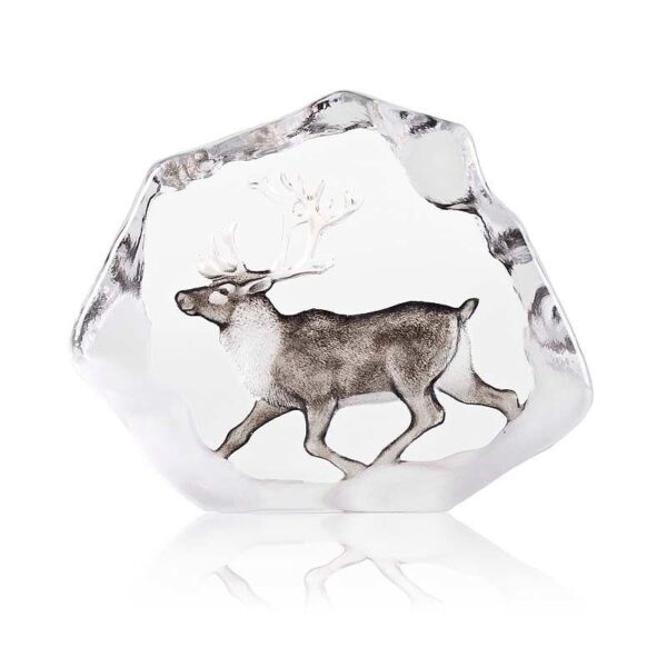 Målerås – Wildlife – Ren Design Mats Jonasson