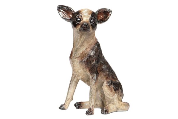Hund Chihuahua