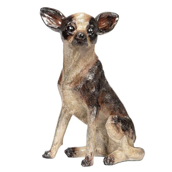 Hund Chihuahua