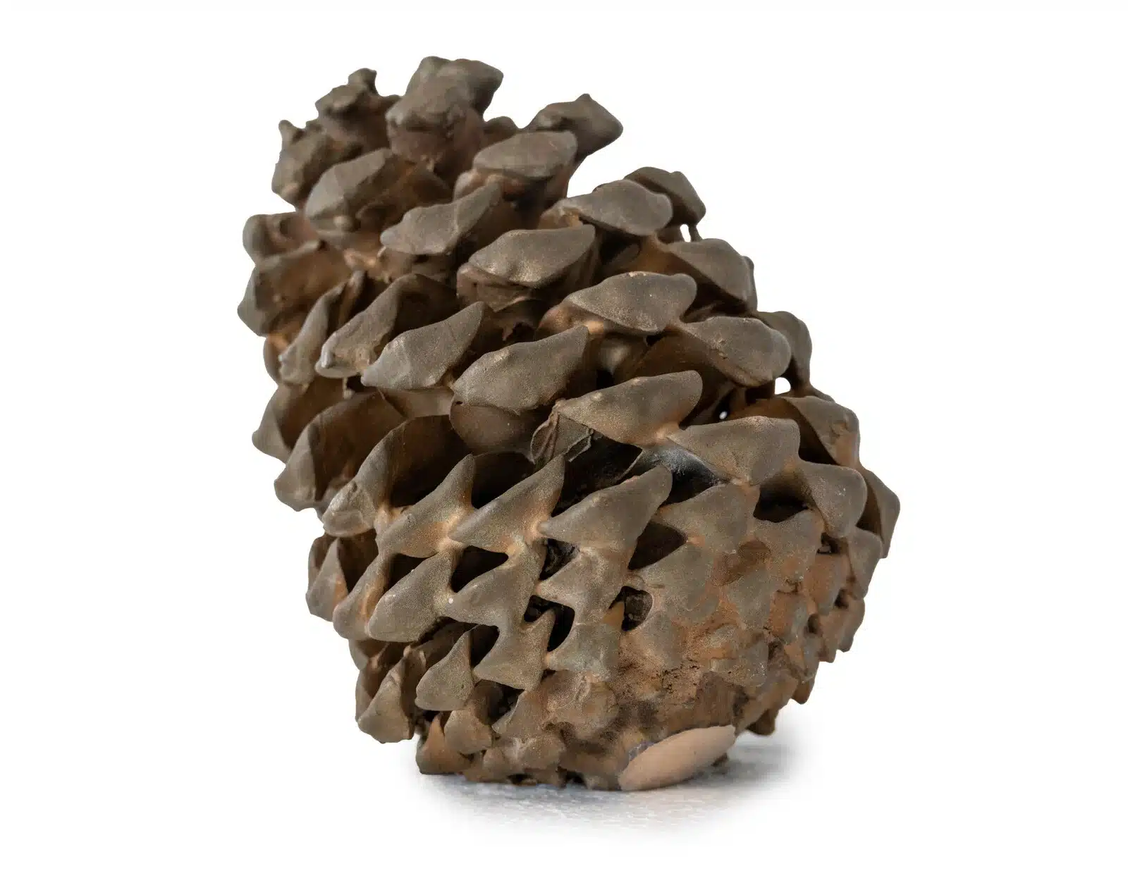 Brons Skulptur - Big pinecone Design Mikael Andström - Bild 2