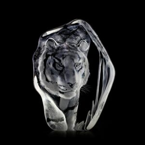 Målerås - Wildlife - Tiger Konstglas 16 x 22 cm Designer Mats Jonasson